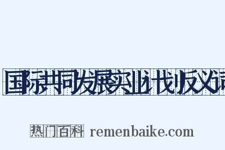国际共同发展实业计划反义词是什么意思的图片